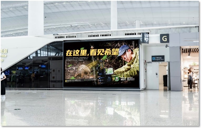T2 Domestic Departure Check-in Hall Lightbox Package A